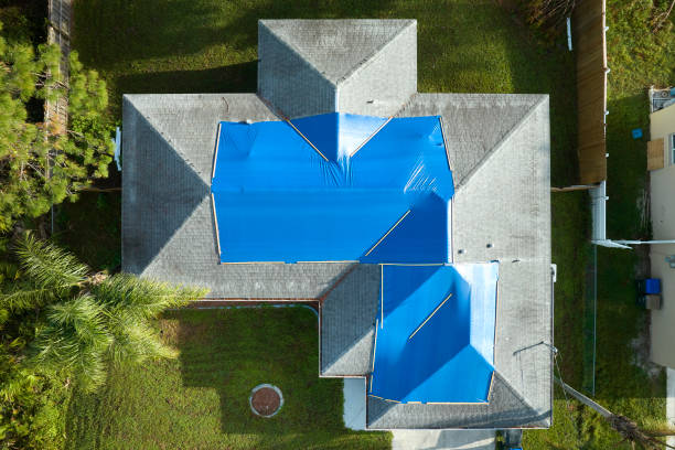 Best Steel Roofing  in Fall Creek, WI