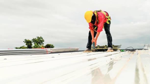 Best Gutter Installation and Repair  in Fall Creek, WI