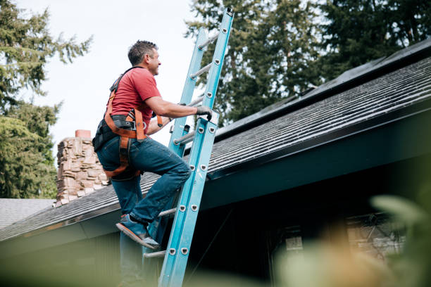 Best Asphalt Shingle Roofing  in Fall Creek, WI