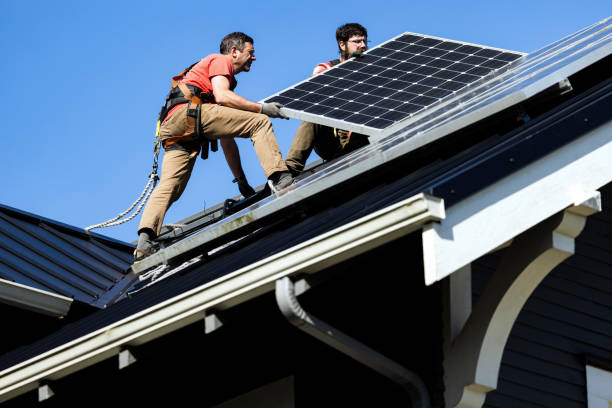 Best Roof Moss and Algae Removal  in Fall Creek, WI